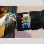 Photo 1 cable prise RJ45