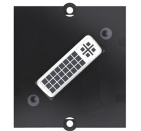 vignette image 2