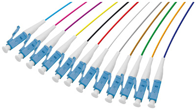 Pigtail LC (UPC), 12 connecteurs, pour fibre 900 µm, sans halogène, TLC