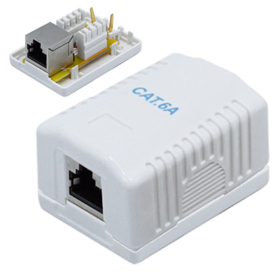 Connecteur RJ45 mural, Cat6a, en saillie (boîtier), Dexlan