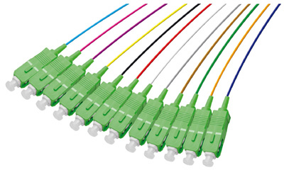 Pigtail SC APC, 12 connecteurs, pour fibre 900 µm, sans halogène, TLC